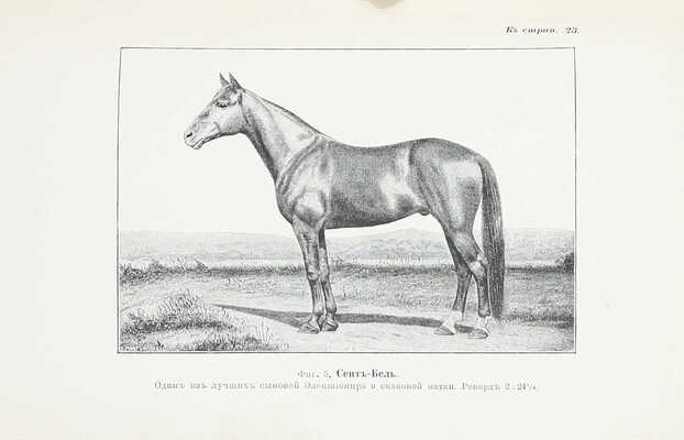 Кулешов П.Н. Тренировка рысаков / Сост. по Марвину и доп. по Сплэну, Маклеоду, Валлясу и др. 2-е изд., просм. и доп. СПб.: Изд. А.Ф. Девриена, 1897.